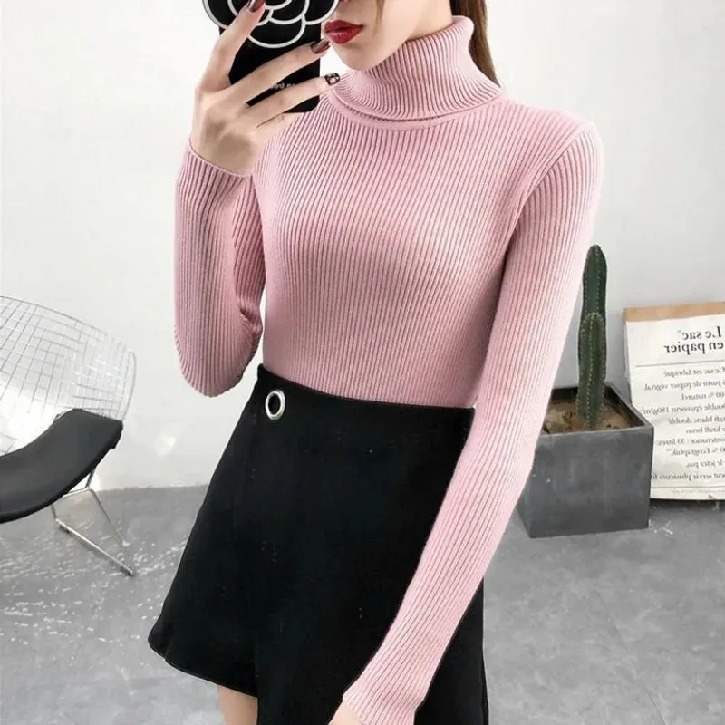 One-Size Ribbed Turtleneck (Pink)