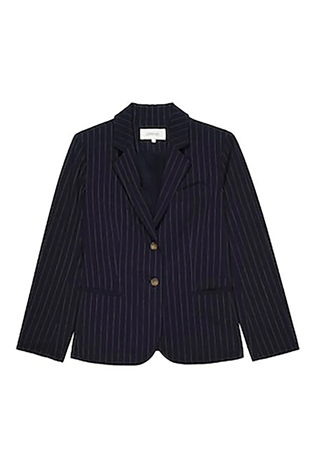 THE SHRUNKEN BLAZER